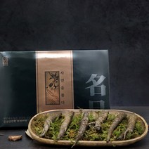 강원도 생더덕 더덕 자연산 겨울 더덕의효능 더덕주 요리 구이 장아찌 선물세트 산지직송, 2세트, 600g [18~24뿌리]