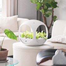 식물재배기 상추키우기 98 LED 수경재배기, 식물재배기 1개