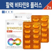종근당 활력 비타민B 플러스 수용성 종합 비타민 B군 영양제, 2세트, 종합 활력 비타민B 플러스 60정