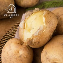 [웰굿] 산지직송 충남 당진 두백감자 3kg(조림 개당50g이하), 단품