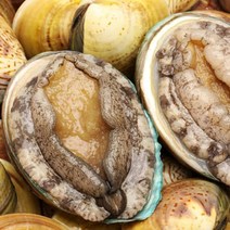 [100%자연산] 전라남도 완도 전복 1KG 선물세트, 선물용 9~10미 1kg