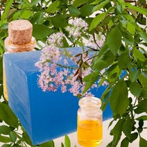 수플레이스 비누베이스(파랑) 20kg