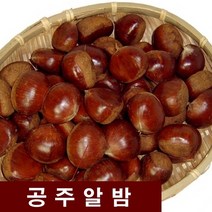 공주 알밤 1kg, 1개