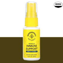 비키퍼스 프로폴리스 스프레이 원액 리퀴드 액상 폴리폴리스 30ml, 비키퍼스 프로폴리스 스프레이 30ml