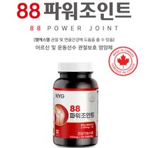 상어연골 관절 건강관리 MSM 파워조인트 1개월분 뼈밀도증가