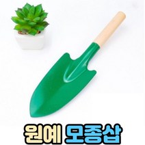 미니 삽, 1개