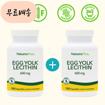 NaturesPlus 난황유 난황 레시틴 계란레시틴 난유개 600m.g 180개 2개