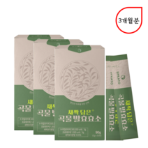 저분자 곡물발효 효소 3BOX 3개월분 -엔자이딘 아밀라아제 리파아제 추천 효능 20대 30대 40대 50대 60대 남성 여성, 3개, 30포