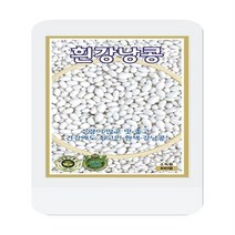 흰강낭콩씨 100립 콩씨 씨앗 대장 KS종묘