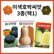 주주씨앗 이색호박 종자 3종 / 다농 땅콩호박 국수호박 꼬마밤 미니단호박 / 밤호박 스파게티 호박 버터넛스쿼시 씨, 꼬마밤(미니단호박) 5립