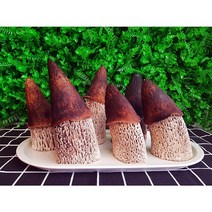 고르다 한우뿔(속뿔) 오래먹는 소뿔 천연수제껌, 내각 속뿔(중대형), 1개입