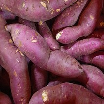 가락시장 찐여사 꿀밤고구마 못난이 고구마 10kg(크기랜덤), 못난이 고구마 10kg (크기랜덤)