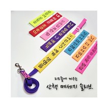 (초코송이네 커스텀)강아지 산책 메세지 슬리브, 19
