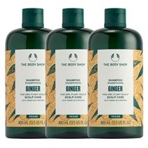 THE BODY SHOP 더바디샵 진저 스캘프 케어 샴푸 400ml X 3개