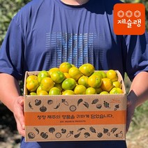 제슐랭 제주 조생귤 당일수확 제주도 감귤 제주도 1kg 3kg 5kg 10kg 가정용 귤, 조생귤 10kg 대과