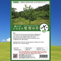 헛개나무씨앗 20g, 1개