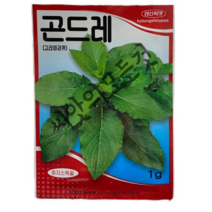 토종 곤드레씨앗1g 국산고려엉겅퀴종자 맛 좋고 영양이 풍부한 민속채소 곤드래씨앗 경신