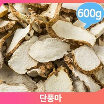 단풍잎 모양 마뿌리 600g 절 단풍마 건조 약재 건강차