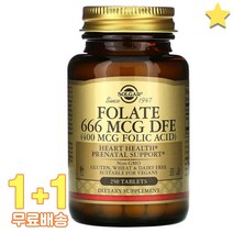 솔가 엽산 666mcg DFE 250정 2통, 1개, 기본