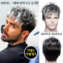 티안나는 남성가발 그레이 블랙 투톤 곱슬머리 패션 남자통가발, 그레이블랙, 1개
