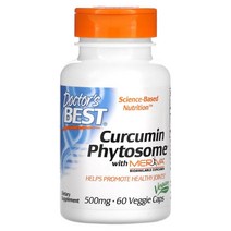 강황 커큐민 Curcumin Phytosome Meriva 500mg 60 베지캡