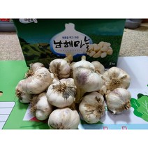 남해마늘 남해햇마늘, 1box, 5kg 대