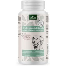 강아지 영양제 관절보조제 Aniforte Green Lipped Mussel 300정 2통 노견 대용량