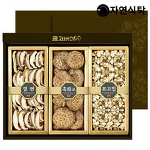 자연식탁 산지직송 국산 참나무 원목 말린 표고버섯 명절 선물세트[웰빙5호] 300g (부직포가방+택배박스)