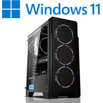 [왕가PC]WGCP 윈도우11 탑재 데스크탑 3D게임용 배그 풀옵션 게이밍 조립컴퓨터 롤 오버워치2 로스트아크 국민옵션부터 풀옵션 조립PC, 01. 기본형, 게이밍 03