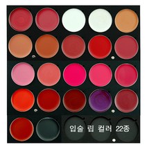 JX Professional 메이크업 국가자격증 입술 립컬러 3g 22색 컬러 단품, 1개, R13
