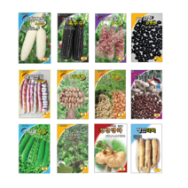 백찰 흑찰 얼룩찰 옥수수 검정 얼룩 강낭콩 서리태 흑 땅콩 스파클 완두콩 녹두 히카마 얌빈 더덕 씨앗 종자, 11.천군만마 히카마 20립