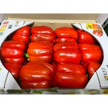 [림다준] 붉은 파프리카 5kg