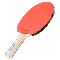 HI-TEC 스킬 II 탁구 라켓