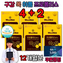 입천장 돌기 아픔 항산화 입안돌기 아기 잇몸 염증 프로폴리스