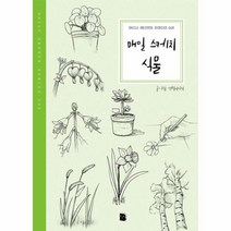 매일 스케치 식물, 마이북, 연필이야기