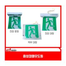시청각경보기 LED식 음성점멸 피난구유도등 대형 벽부형