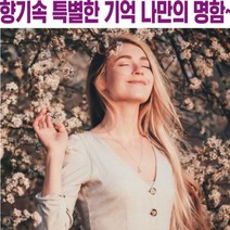 마이비아 향기명함 판촉물 차량걸이형, 살균칩