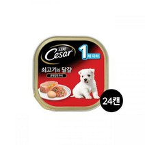 [시저] 1세이하 쇠고기와 달걀 100g 24캔/무료배송