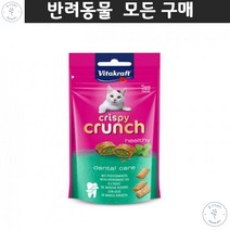통키니즈 브리티시숏헤어 봄베이 고양이과자 겉바속촉 구취제거기능성 냥이간식 터키시앙고라 샴