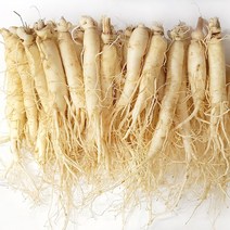 [GAP 취득 농부의 인삼] 인삼 수삼 6-5년근 난발 파삼 세척 삼계탕 선물 산지직송 홍삼액 정성가득, 세척함, 12.삼계탕튀김용(710g기준30뿌리내외