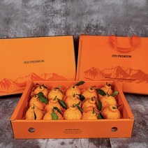 [고당도 과일] 프리미엄 제주 한라봉 특대과, 한라봉+레드향 설날5KG  혼합 선물세트, 5kg (13과~18과)