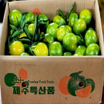 탐라인 산지직송 제주 조생 유라조생 극조생감귤 꼬마과 3kg내외, 1box, 3kg