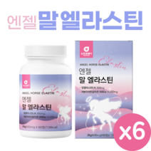 엔젤 말 엘라스틴 60정 3세대 데스모신 이소데스모신 저분자 어린 피쉬 콜라겐 300달톤, 6개