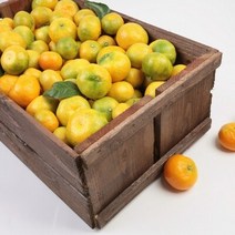 제주 극조생귤 감귤 청정제주 3kg, 꼬마감귤 10kg