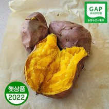 호박고구마 5kg 10kg 당진 꿀고구마 안노베니 아침식사대용, 1box, 한 입 5kg