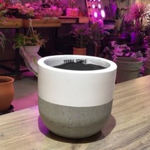 HDW236535테라스톤팟 화이트투톤 원형 22x20cm 화분