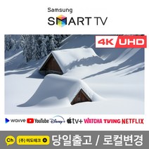 삼성 65인치 4K 스마트 UHD TV 65AU8000 초고화질, 1. 수도권역 스탠드 +HDMI 2.0