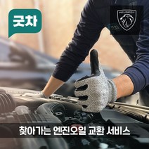 굿차 출장 엔진오일 교환 푸조 - 308, 308 2.0 HDI GT(18-21년)