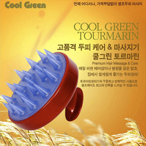 두피마사지브러시 음이온 케어쿨링 샴프브러쉬 스케일링 두피마사지기 탈모 두피관리 비듬 샴푸브러쉬 샴푸솔 각질제거 비듬관리 헤어브러쉬 두피맛사지 머리 샴푸브러시, 본상품, 쿨그린 토르마린 브러쉬 블루