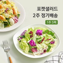 포켓샐러드 2주 주 5팩 정기배송 채소 야채 샐러드 배달 도시락, 20.숯불갈비2+옥수수톡1+파스타1+훈제오리1